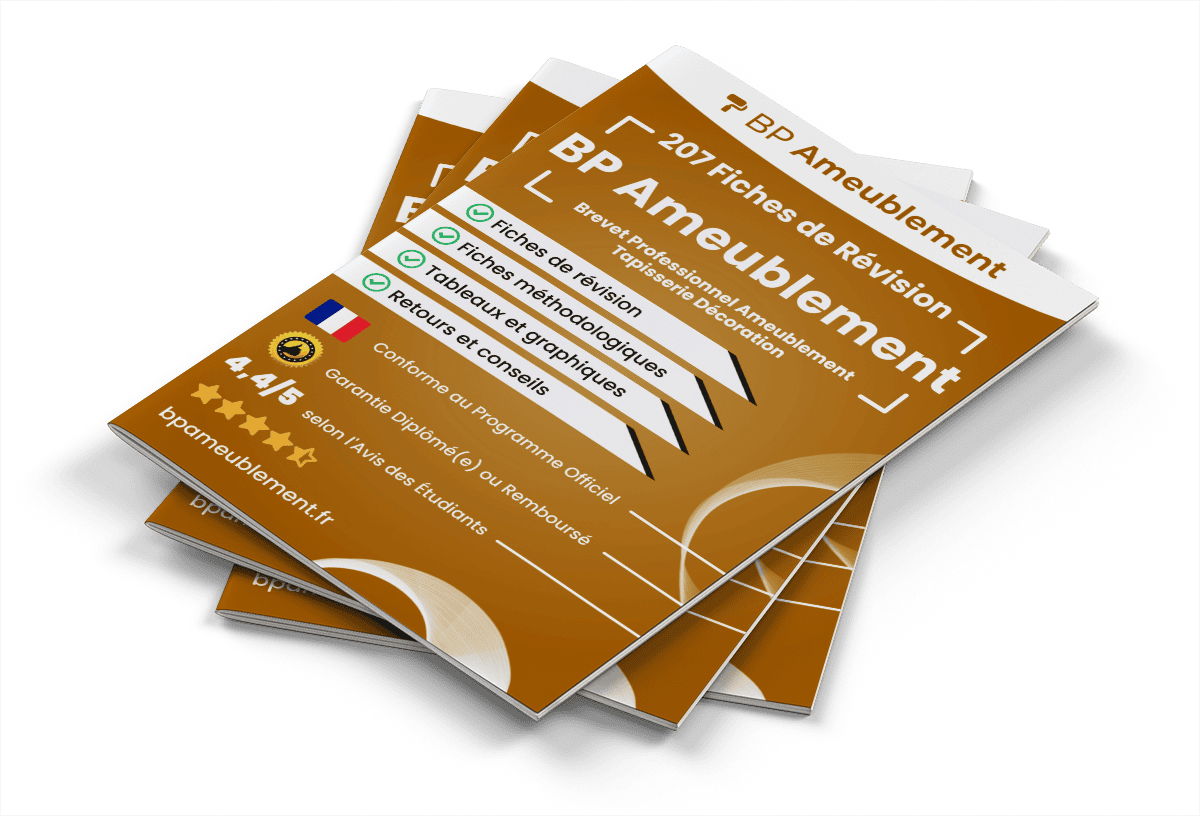 207 Fiches de Révision pour le BP Ameublement